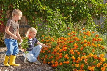 Mit pflegeleichten Pflanzen kommt es schnell zu sichtbaren Erfolgserlebnissen für die jungen Gartenfreunde. Foto: djd/SPERLI