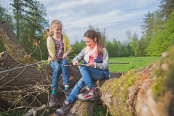 Der Wald als Lernort